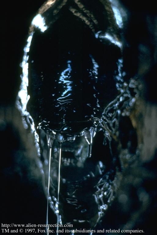 The Xenomorph